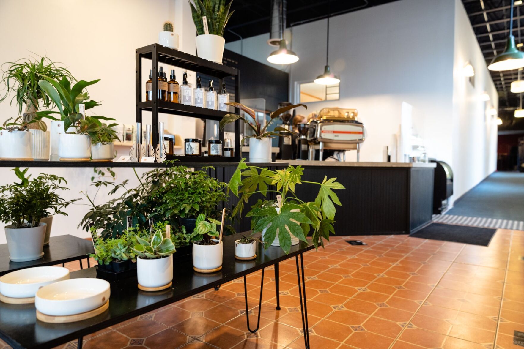 0421_Biz_BotanistCoffeeHouse_CM-1.jpg